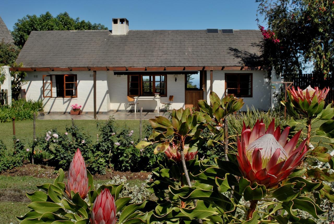 Heatherhill Farmhouse - Sea & Mountain Views Plettenberg Bay Exterior photo